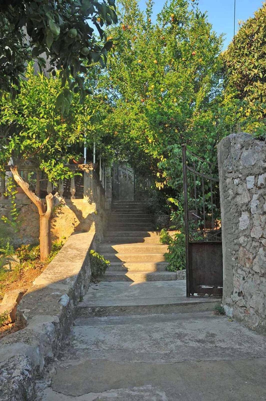 Spacious With A Panoramic View Of Harbor Ubytovanie v rodine Dubrovnik